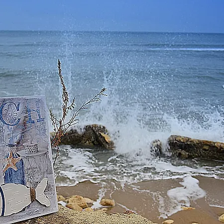 Toro Negro Goudstrand