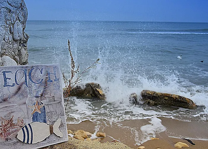 Toro Negro Golden Sands