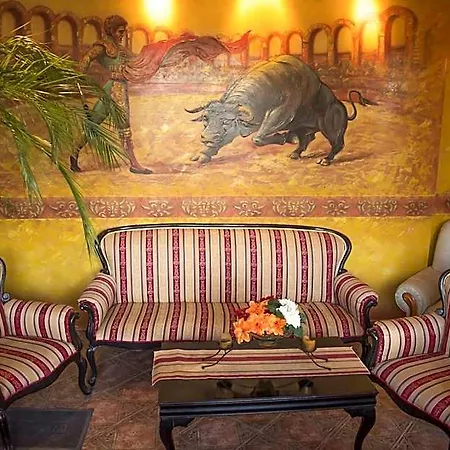 Hotel Toro Negro